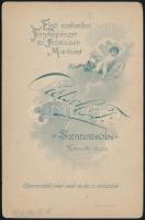 cca 1914 Szabadka, Piétsch F. fényképész műtermében készült vintage fotó, 16,3x10,6 cm