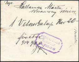 cca 1910 Női kalap-, dísztoll- és művirággyár reklám cédula