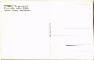 Baja, Véndiófa vendéglő a Kispandur szigeten, terasz, étterem, kerthelyiség. Borsodi fotó