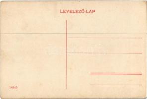 Budapest XI. Duna részlet a Gellértheggyel és Ferenc József híddal