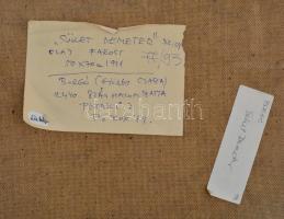 Borgó György Csaba (1950- ): Süket Demeter, olaj, farost, jelzett. Hátoldalán a művész autográf címk...