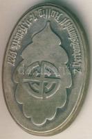 Német Birodalom/Weimari Köztársaság 1927. "Verbandsturnfest-Aussig" kitűző T:2