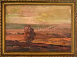Olvashatatlan jelzéssel: Őszi táj (Erdély v. Nagybánya környéke?), olaj, farost, fa keretben, 34×48 ...
