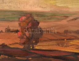 Olvashatatlan jelzéssel: Őszi táj (Erdély v. Nagybánya környéke?), olaj, farost, fa keretben, 34×48 ...