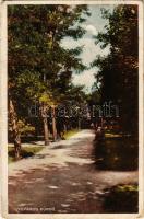 14 db RÉGI történelmi magyar városképes lap / 14 pre-1945 historical Hungarian town-view postcards