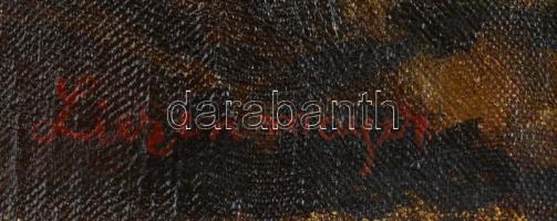 Liezenmayer jelzéssel: Jelenet, olaj, vászon. 80x61 cm