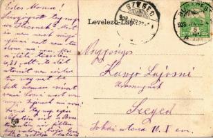 1908 Kovászna, Covasna; Sétatér látképe hidakkal, községháza. Szecessziós litho keret / square with ...