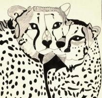 Vasarely jelzéssel: Párduc. Filctoll, ceruza, papír, 40,5x27 cm