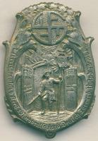 Német Birodalom/Weimari Köztársaság 1924. "1. Kreisturnfest b. kreis. 5 Norddeutschland Deutsch Turnerb.-Botsd" kitűző T:2