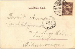 1901 Temesvár, Timisoara;  Gyárváros, Baross utca. Polatsek kiadása / Fabrica, street view (fl)