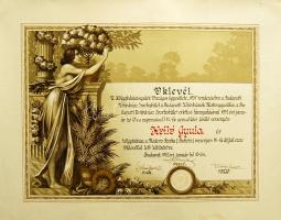 1937 Dekoratív nagyméretű fodrász oklevél 50x70 cm