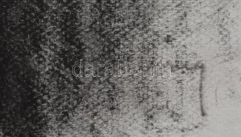 Olvashatatlan jelzéssel: Női portré. Szén, papír, kis szakadással, 70×50 cm