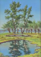 Szittya Horváth Lajos (1883-1960): Tükröződő fák a Duna mellett ,1949, Győr. Pasztell, papír. jelzett, hátoldalán feliratozott Üvegezett fa keretben, 36x26 cm