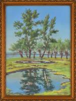 Szittya Horváth Lajos (1883-1960): Tükröződő fák a Duna mellett ,1949, Győr. Pasztell, papír. jelzet...