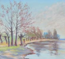 Szittya Horváth Lajos (1883-1960): Győr-Sopron megyei táj ,1949. Pasztell, papír. jelzett, hátoldalá...