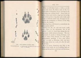 Joseph Brunner: Tracks and tracking. New York, 1934, MacMillan. Kiadói vászonkötés. Gazdagon illuszt...