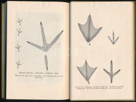 Joseph Brunner: Tracks and tracking. New York, 1934, MacMillan. Kiadói vászonkötés. Gazdagon illuszt...