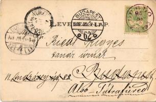 1903 Lublófüred, Lubló-fürdő, Kúpele Lubovna (Ólubló, Stará Lubovna); fürdőház. Szeiffert Endre kiad...