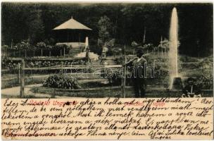 1903 Nevicke, Nevytske, Nyevicke (Ungvár, Uzshorod, Uzhorod); kert, vadász puskával. Feuerlicht Testvérek kiadása / park, hunter with gun