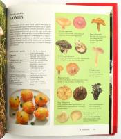 Gergely Anikó: Magyar kóstoló. Gasztronómiai utazás. Christoph Büschel-Ruprecht Stempell fotóival. B...