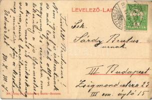 1910 Beszterce, Bistritz, Bistrita; utca, Franz Willim és Eduard Zitrin üzlete. W.L. (?) 204. F. Sto...