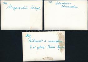 1938 Az Eucharisztikus Világkongresszus eseményein készült budapesti, hátoldalán feliratozott fotók,...