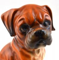 Royal Keramiek porcelán ülő francia bulldog, kis kopásnyomokkal, matricával jelzett, alján filc, m: ...