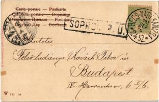 1903 Nagymarton, Mattersdorf, Mattersburg; szökőkút / fountain / Brunnen + "Bécs-Nagy-Kanizsa 2...