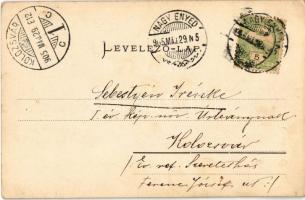 1905 Vajdahunyad, Hunedoara; vár és gyárak / castle and factory