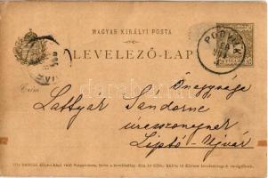 1904 Podvilk, Podwilk (mai Lengyelország, Magas-Tátra); hölgy kutyával a kertben / lady with dog in ...