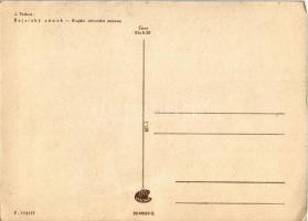 Bajmóc, Bojnice; Gróf Pálffy kastély / Bojnicky hrad (zámok). Krajské nitrianske múzeum / castle s: ...