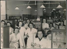 1943 Gyógyszerészhallgatók a Pázmány Péter Tudományegyetemen, hátoldalon feliratozott, pecséttel jelzett fotó, 17×23 cm