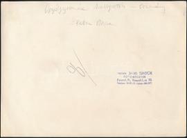 1943 Gyógyszerészhallgatók a Pázmány Péter Tudományegyetemen, hátoldalon feliratozott, pecséttel jel...