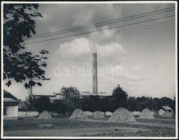 1941 A selypi cementgyár képe a cukorgyár udvarából nézve, hátoldalon feliratozott fotó, 15,5×20 cm