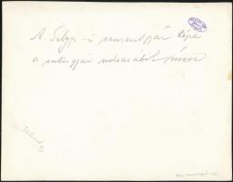 1941 A selypi cementgyár képe a cukorgyár udvarából nézve, hátoldalon feliratozott fotó, 15,5×20 cm