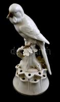Sitzendorf porcelán papagáj, kézzel festett, jelzett, kopásnyomokkal, m: 18,5 cm