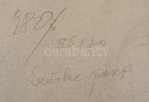 Bernáth jelzéssel: Balaton. Akvarell, papír, üvegezett fa keretben, 34x48 cm