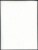 cca 1970 Pataki Ági modell hátaktja, Németh Andrea fotóművész, Németh József fotóművész lánya készít...