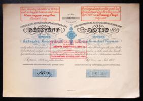 1918 Sopron-Graz Vasárúgyár RT. 200 K részvény / Iron-factory decorative share