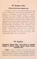 Függelék a Magyar Gyógyszerkönyv második kiadásához. Bp., 1896. Boruth E.713p.  Borító nélkül, hozzá...
