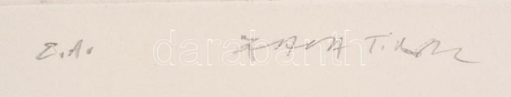 Zala Tibor (1920-2004): Odüsszeusz. Színes rézkarc, papír, jelzett, művészpéldány E.A. 40×30 cm