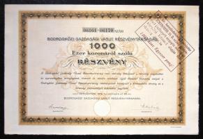 1912. "Bodrogközi Gazdasági Vasút RT." részvénye 1000K-ról, szelvényekkel