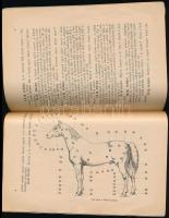 Monostori Károly: Ló-gondozás. A lóismeret és lóhasználás rövid foglalatja. Kocsisok és lógondozók s...