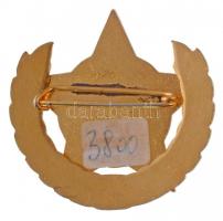 ~1960-1970. "Hűség a néphez, hűség a párthoz" zománcozott kitüntető jelvény. Szign.: Ságvá...