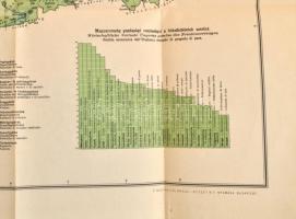 1920 Magyarország gazdaságföldrajzi térképe, 1:15,00.000. Dr. Teleki Pál gróf és dr. Cholnoky Jenő k...