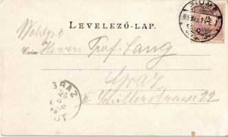 1895 (Vorläufer!) Fiume, Rijeka; Corso, port, ships. Kunstanstalt Rosenblatt, Verlag C. Spiess &...