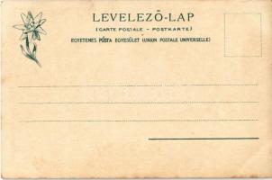 Tátra, Vysoké Tatry; Lemenet a Vadorzó-hágóról a Tengerszemhez. Feitzinger Ede 287. 1902/12. / Zejsc...