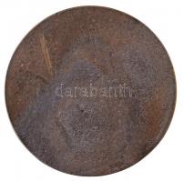 DN Szent Istvánt ábrázoló aranyozott fém emlékérem (107mm) T:2- karcolás