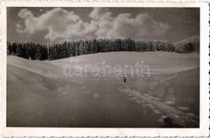 1942 Nagybánya, Baia Mare; Muntii Gutai / Síelő a Gutini-havasokban, téli sport / skiing in the Gutin Mountains, winter sport. photo (EK)