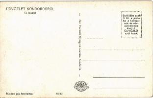 Kondoros, Ágostai evangélikus templom, Tó részlet. Özv. Harmati Györgyné kiadása